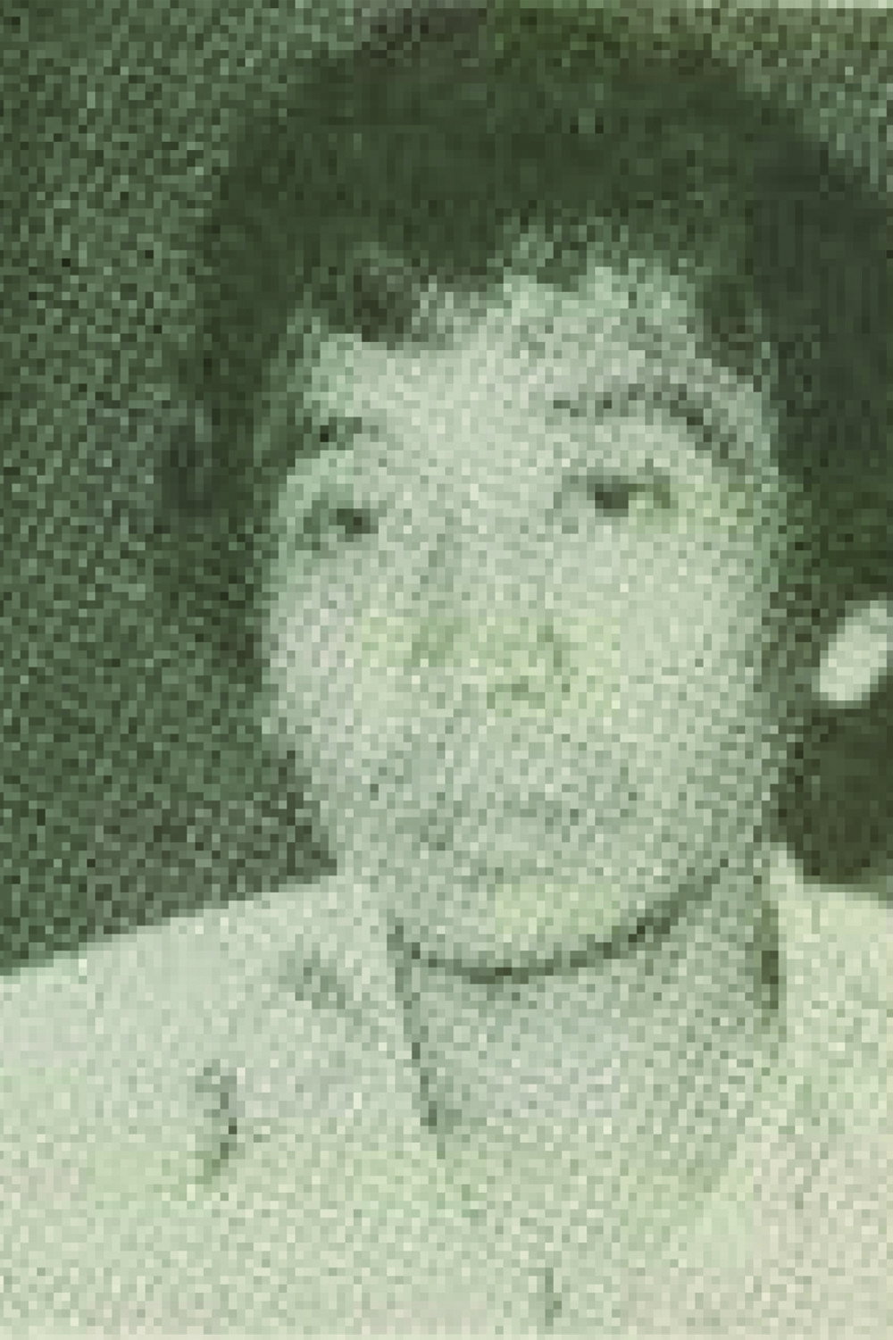 Idris Sardi