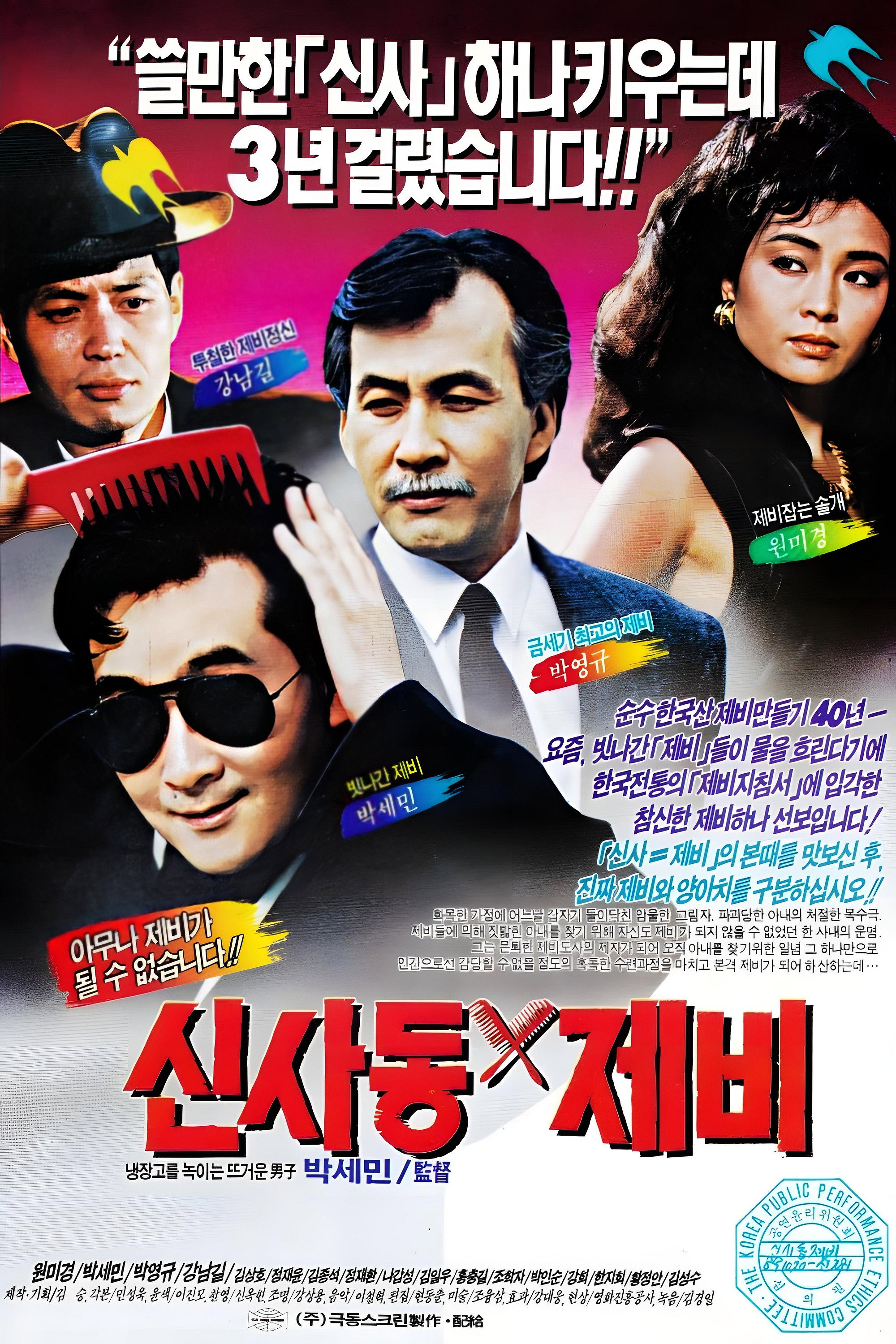 신사동 제비