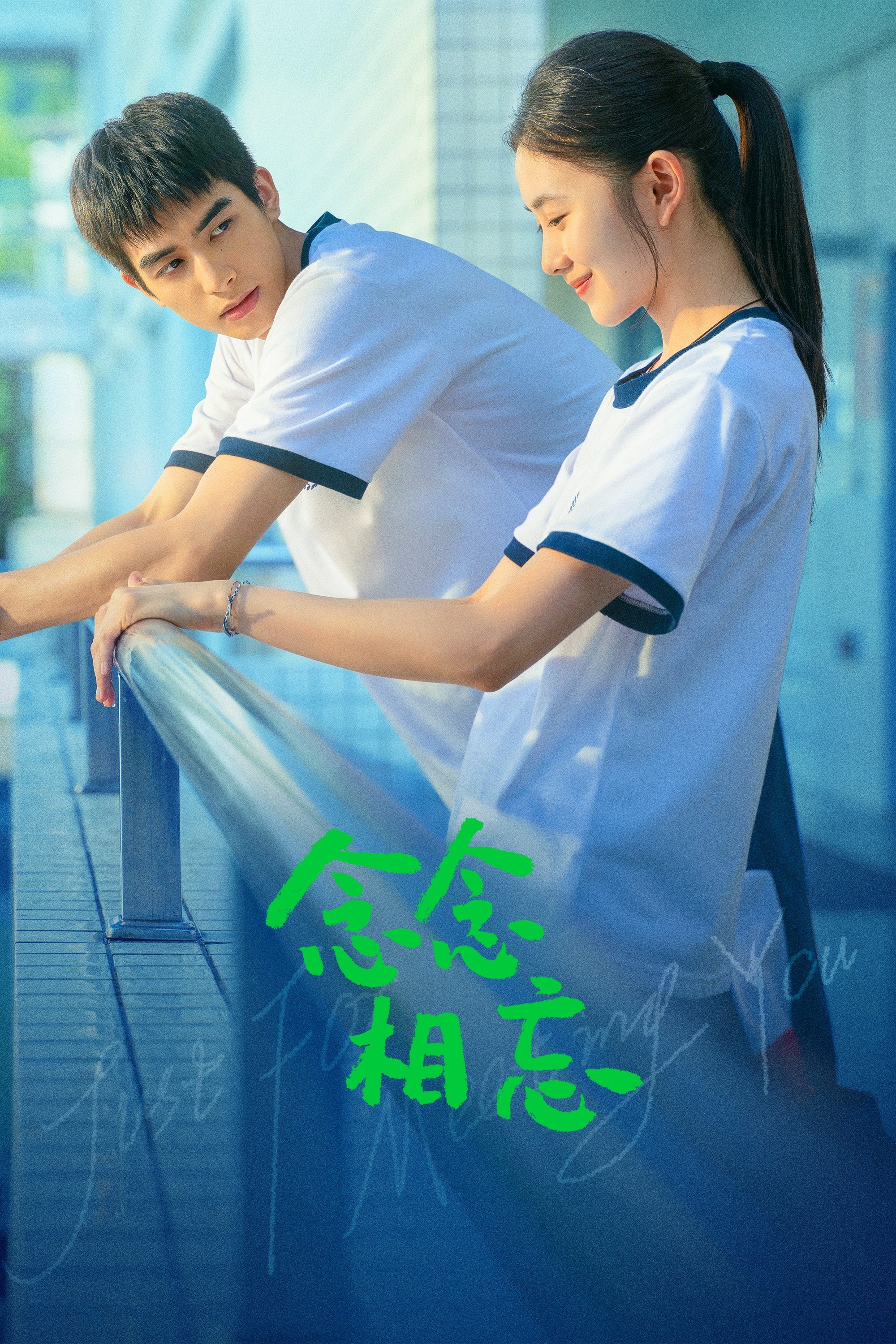 念念相忘